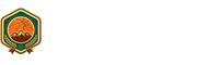 蜘蛛直播